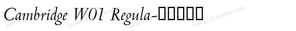 Cambridge W01 Regula字体转换